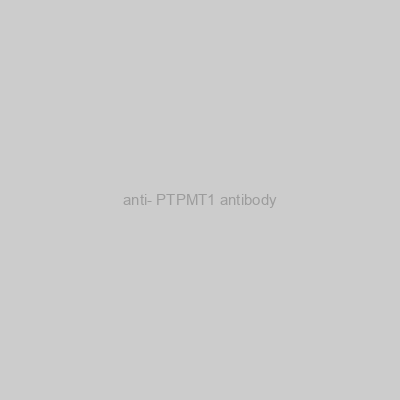 FN Test - anti- PTPMT1 antibody